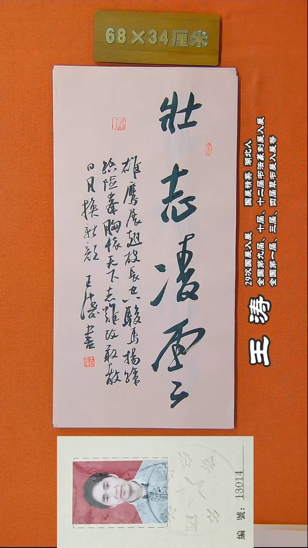 书法15R王涛书法作品