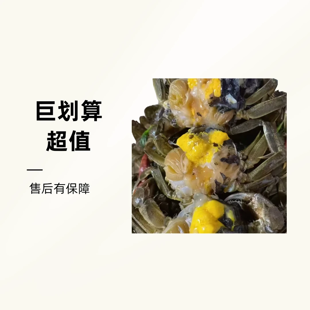 【活蟹】盘锦河蟹 纯母蟹 到手21只左右鲜活到家嘎嘎香（1.3-1两）母蟹