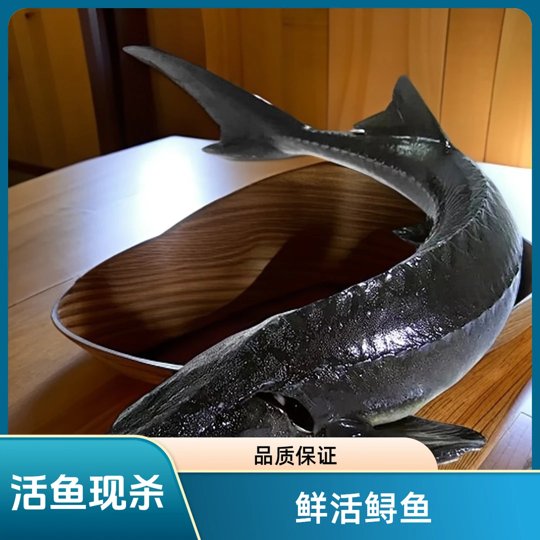 鲜活鲟鱼默认杀好