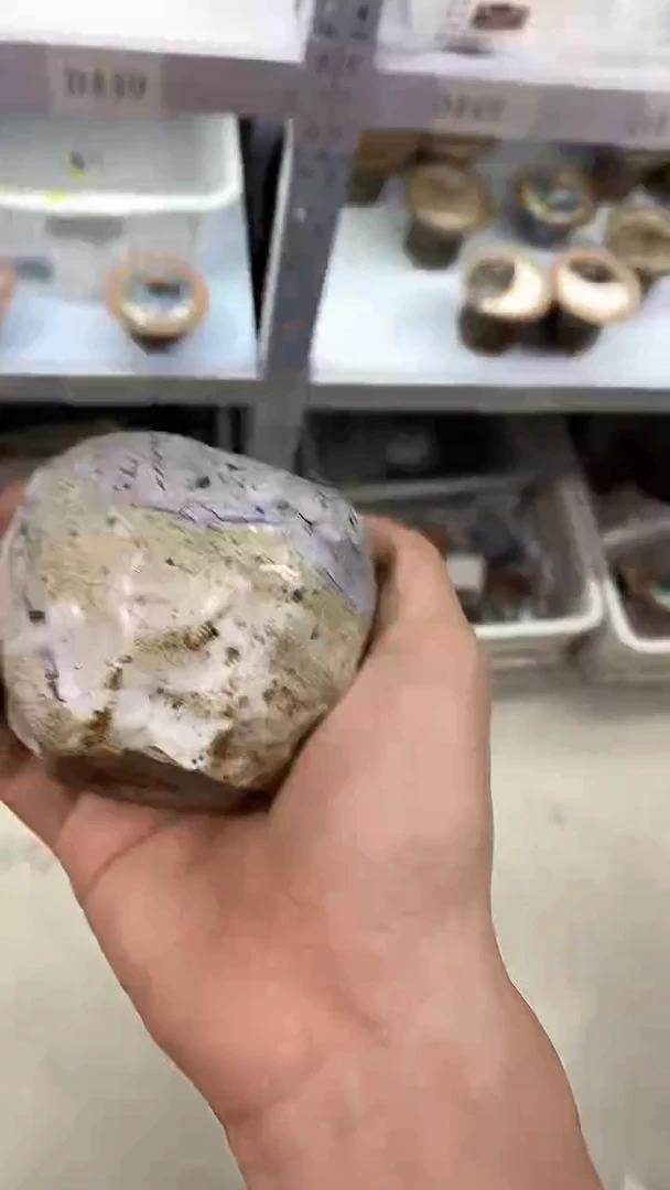 瓷片D450陶瓷茶具茶器
