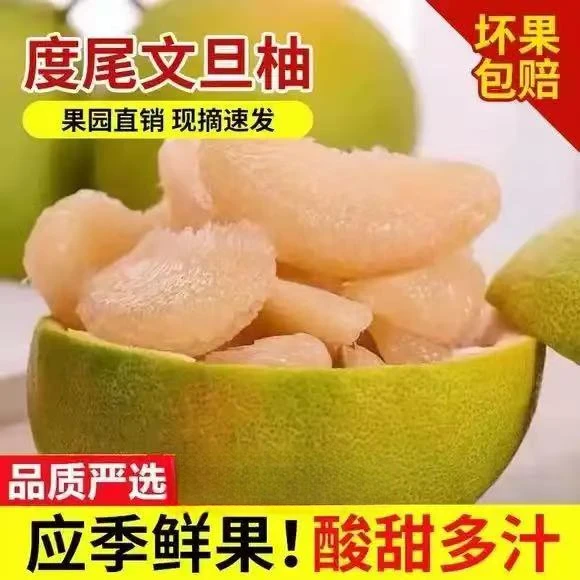 尝试文旦柚来了正宗30年老树福建仙游度尾红心当季当季新鲜水果