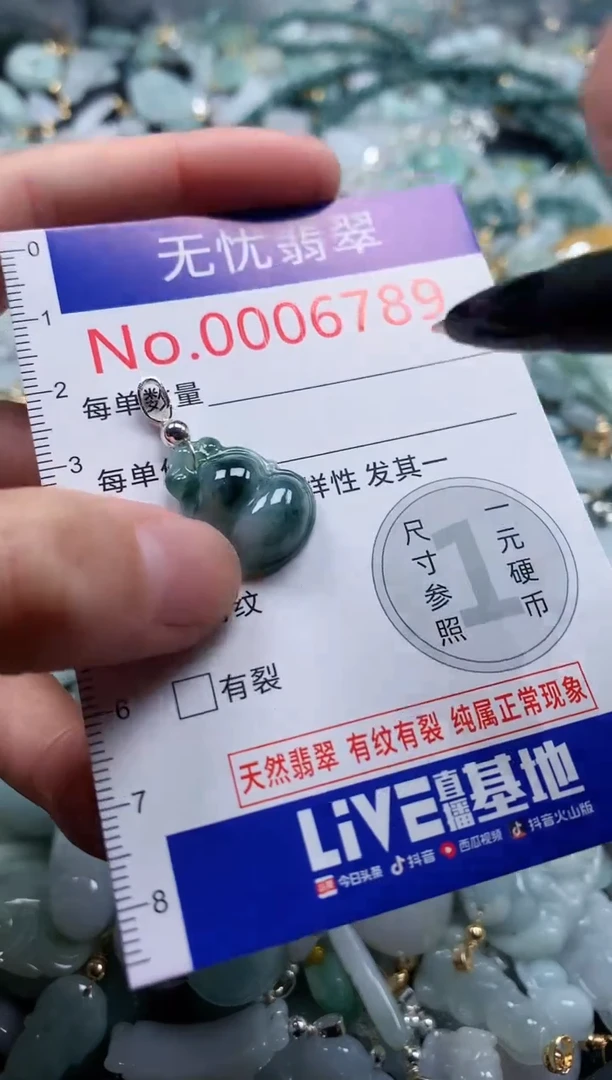 翡翠未镶嵌吊坠(不含链)6789