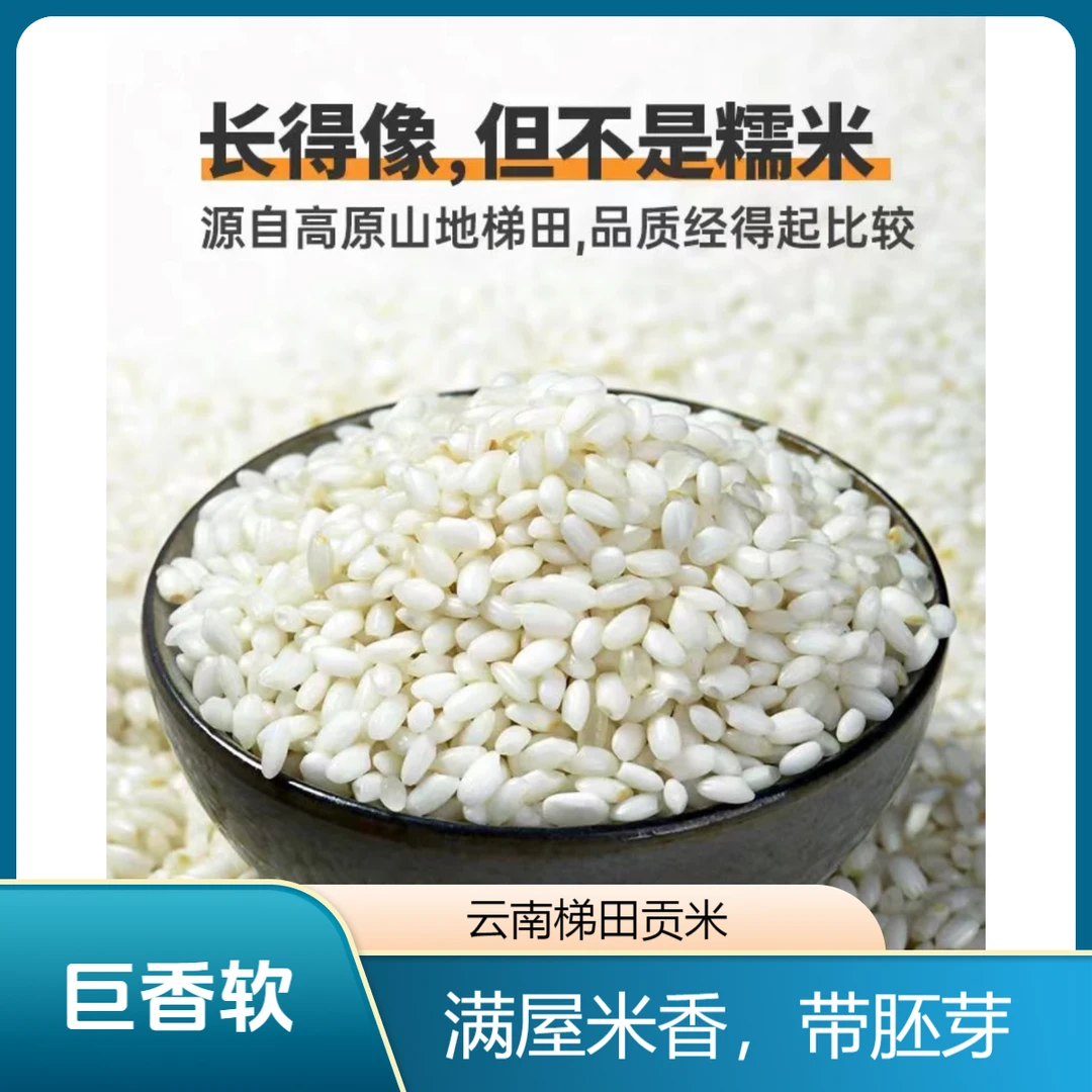 【边陲贡米】云南梯田贡米香软米带胚芽 真空包装