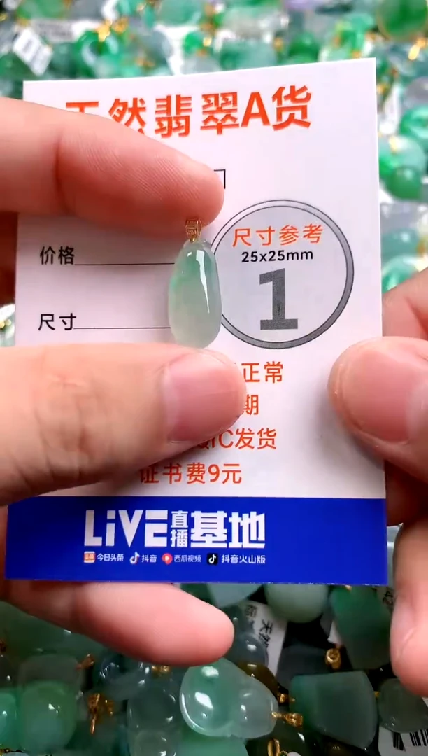 颈饰18K金镶嵌翡翠1020002511