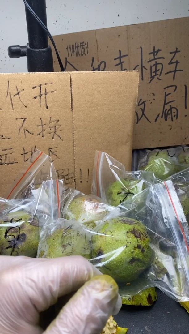 不退不换ZWF蛤蟆头14