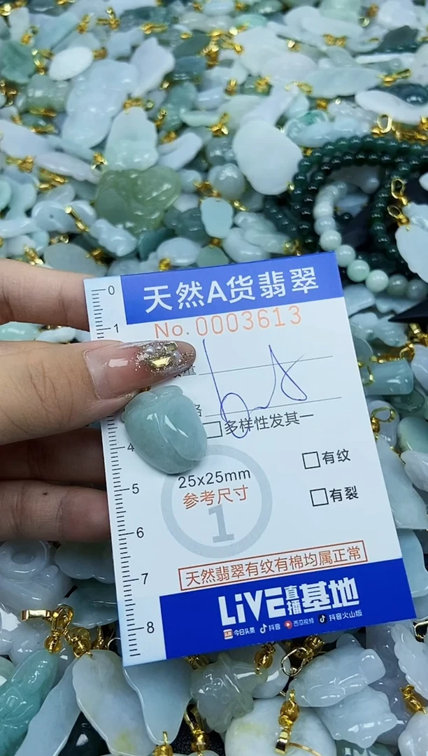 翡翠未镶嵌颈饰天然A货翡翠