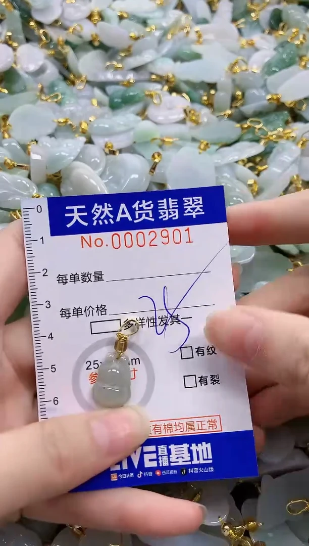 颈饰未镶嵌翡翠天然A货翡翠