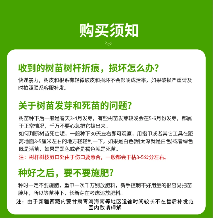 芭劳奈玛斯义陶芬庭院阳台花园均可种植盆栽