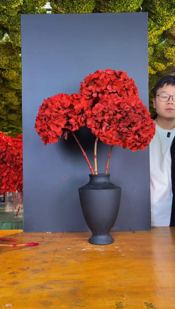 114  山前小麦 · 荷兰进口永生大叶绣球3枝（红）