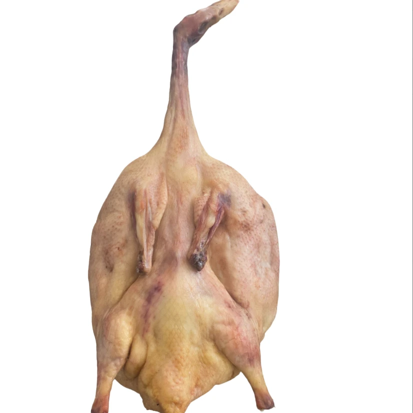 【云山农品】云南腌制风干老鹅