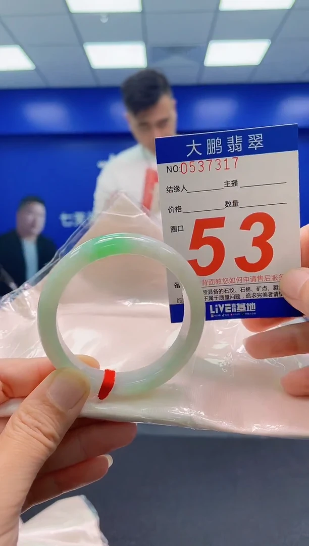 未镶嵌手镯翡翠AAAAAAAAA