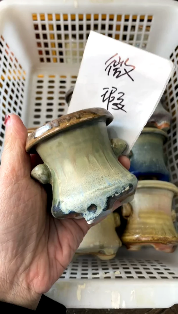 【闪购商品】陶微瑕434