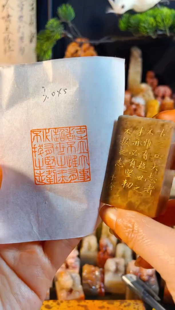巴林石印石手工篆刻《古之立大事者不惟有超世之人....》