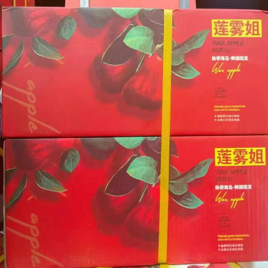 【原箱】【N】好吃的莲雾（带箱5斤左右）仅限太原六城区榆次可拍