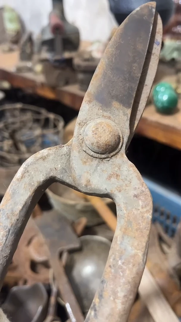 亮隆江直播新人带货