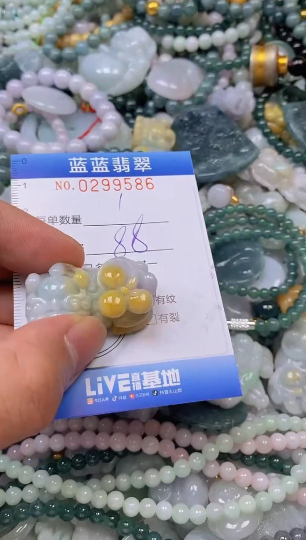 翡翠未镶嵌颈饰闪购0299586
