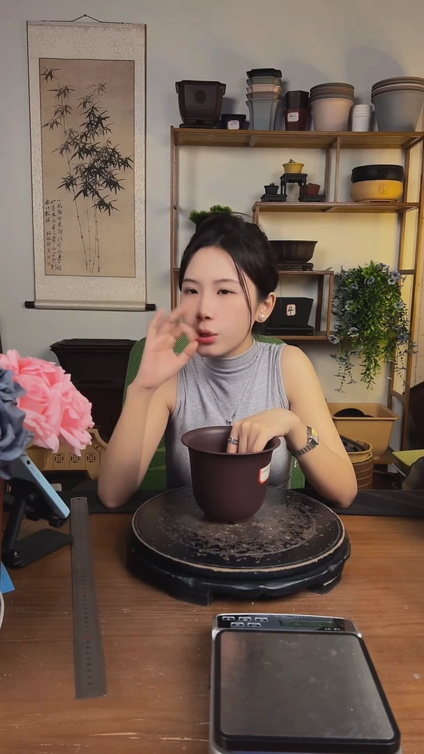10只15口径金钟紫檀色