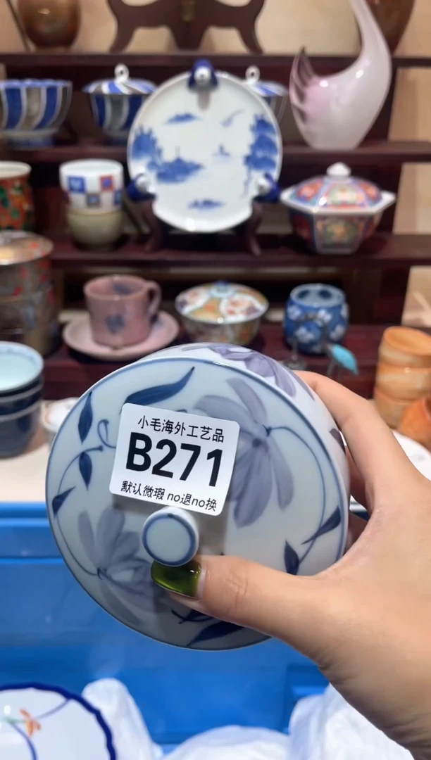 瓷片彩**光           B271