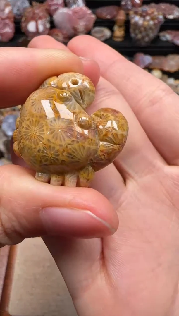 【闪购商品】硅化珊瑚（珊瑚玉）颈饰未镶嵌702