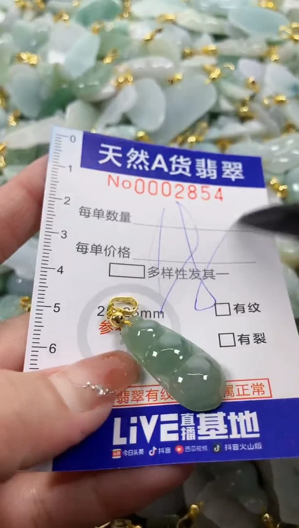 颈饰未镶嵌翡翠天然A货翡翠