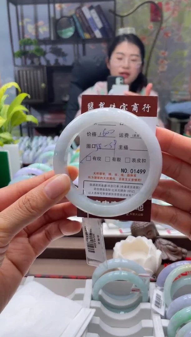 未镶嵌手镯翡翠1499****