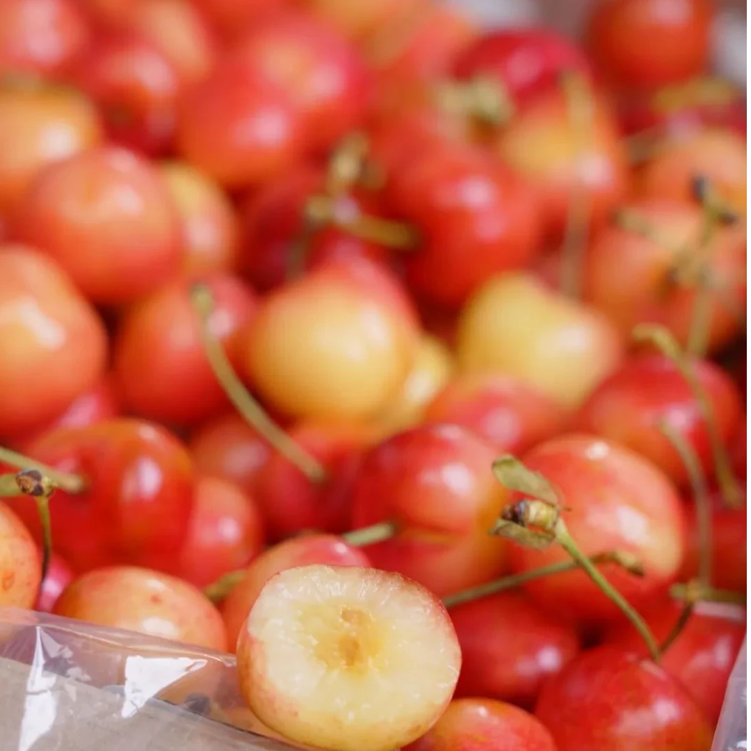 天空之城 空运斯凯拉雷 黄车厘子 现货现发4J 2000g