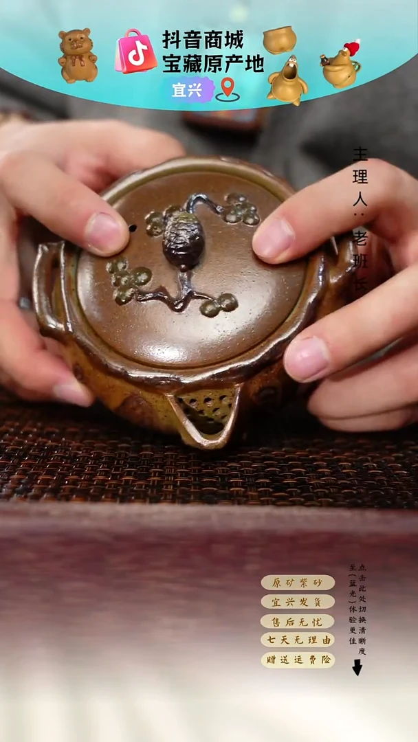 茶壶紫砂松果宝瓶