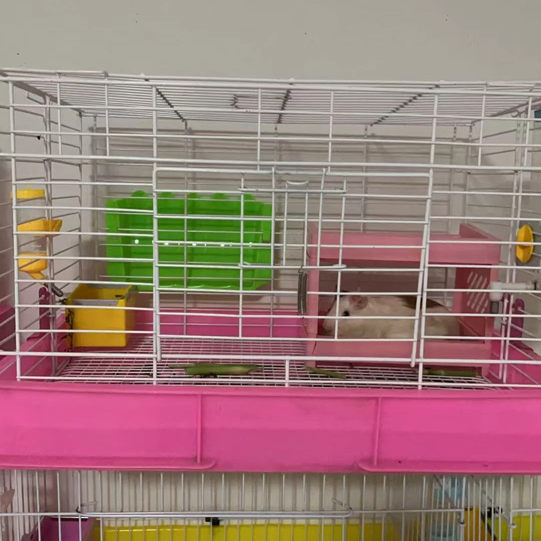 荷兰猪豚鼠笼兔笼大号龙猫笼