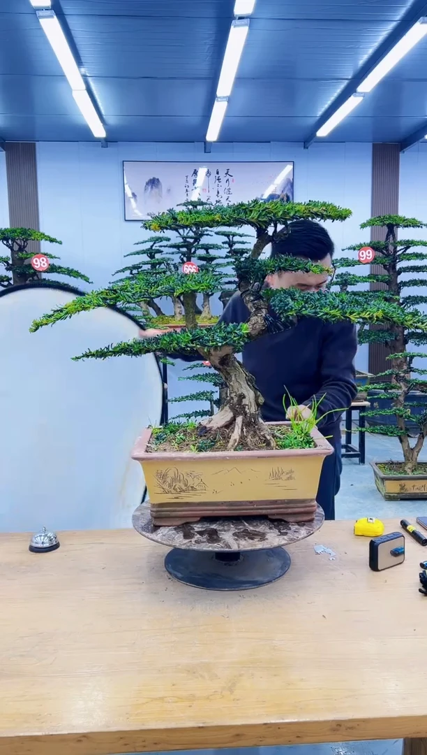 无花朵0000000000000