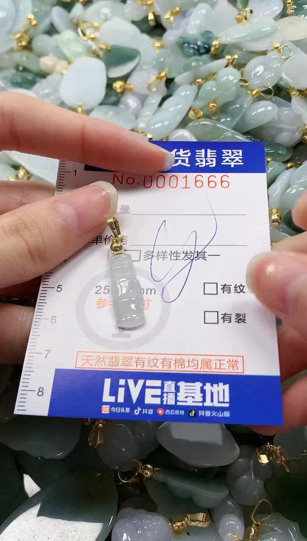 颈饰未镶嵌翡翠纯天然a货翡翠