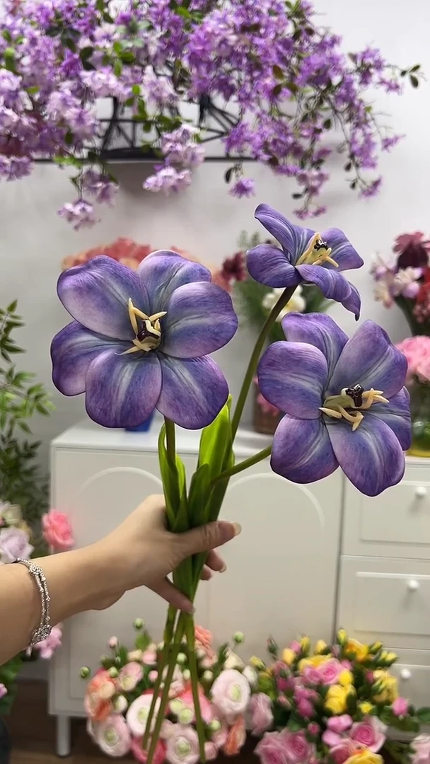 3枝紫色布朗尼郁金香