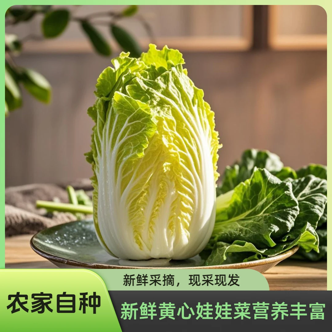 云南高原新鲜娃娃菜黄心嫩甜无筋无丝健康蔬菜不泡药水