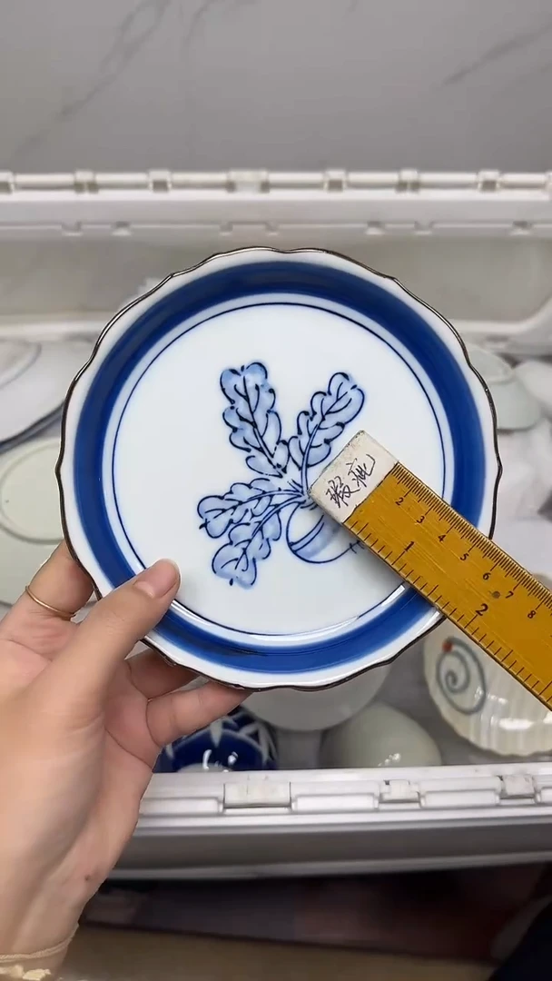 【闪购商品】377回流瓷器默认微瑕，18.8包邮