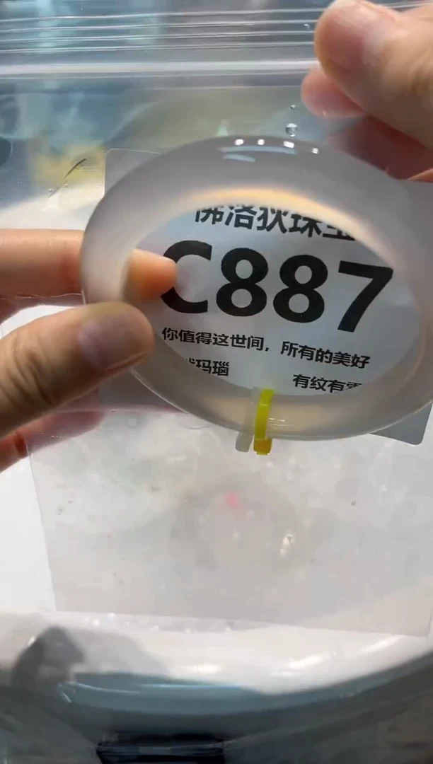 手镯玛瑙/玉髓未镶嵌C887