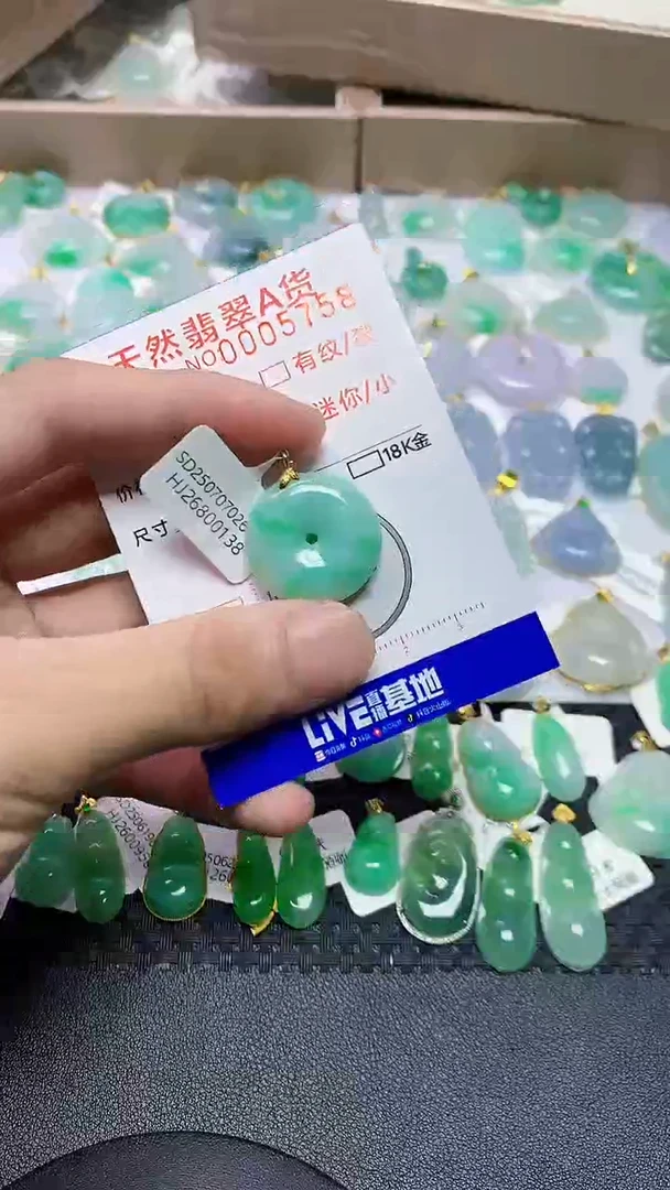 翡翠18K金镶嵌颈饰4564564564641