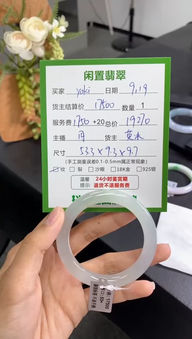 未镶嵌手镯翡翠y**i手镯