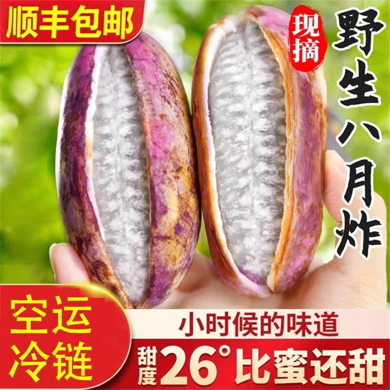 云南新鲜八月瓜野生8月炸罕见水果网红瓜木通果拿麻藤包牛卵坨