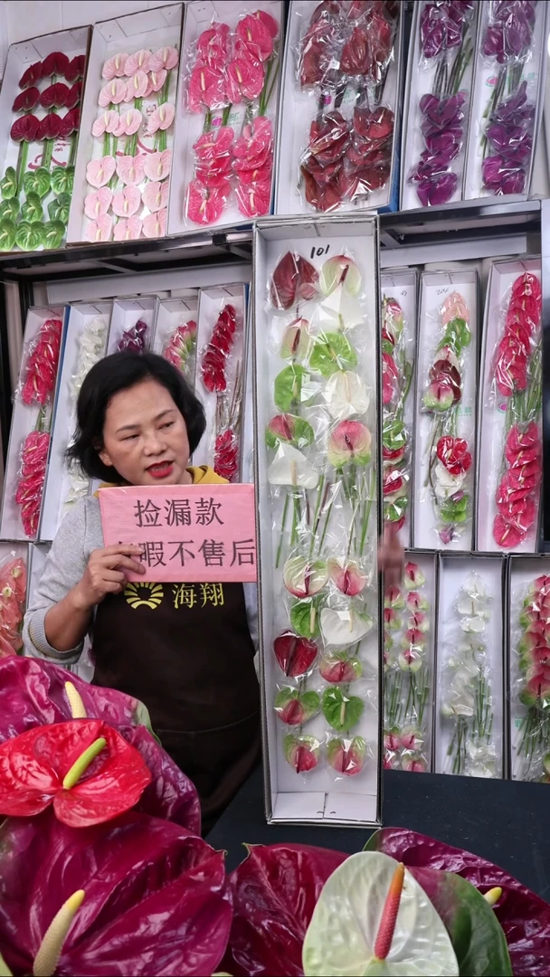 完全开放101 混色迷你掌20支(15-20cm，横冠幅6cm)微瑕无售后慎拍！
