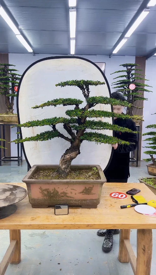 以实际为准0000000