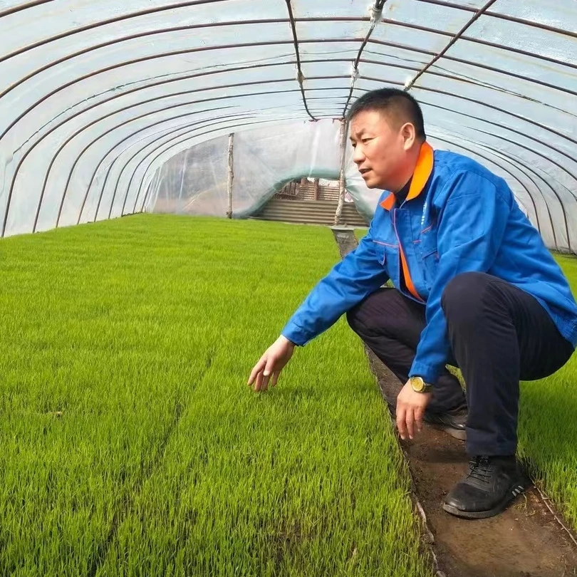 饭包儿 【稻花香专属】五常稻花香2号【粥米】碎米 现磨现卖包邮