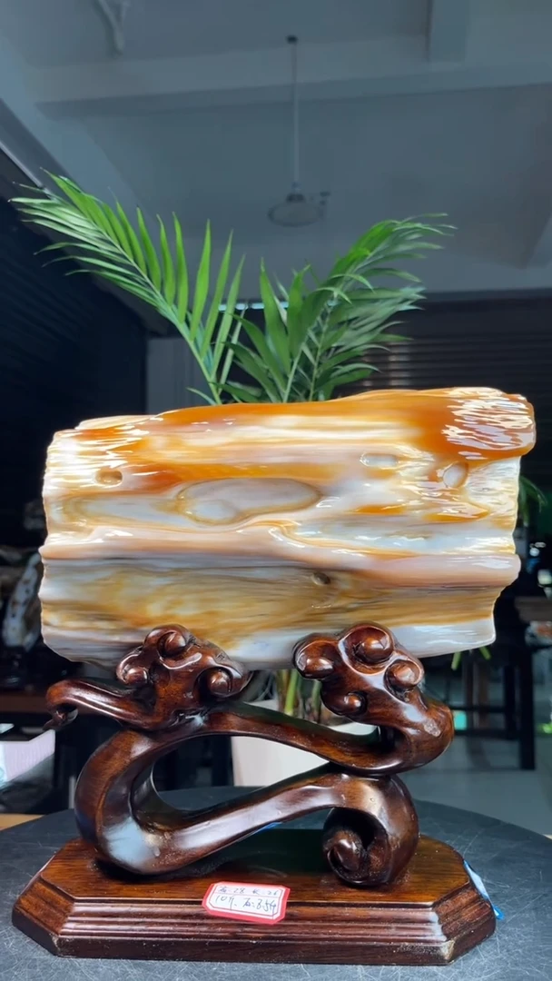 未镶嵌硅化玉（树化玉）珠宝奇石2622（裸石长度26厘米）