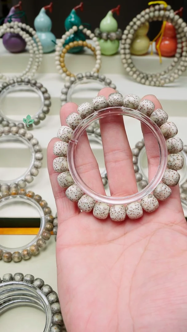 手串星月菩提海南星月菩提一物一图