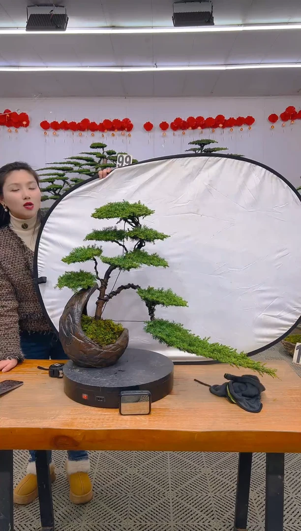 【闪购商品】盆景1