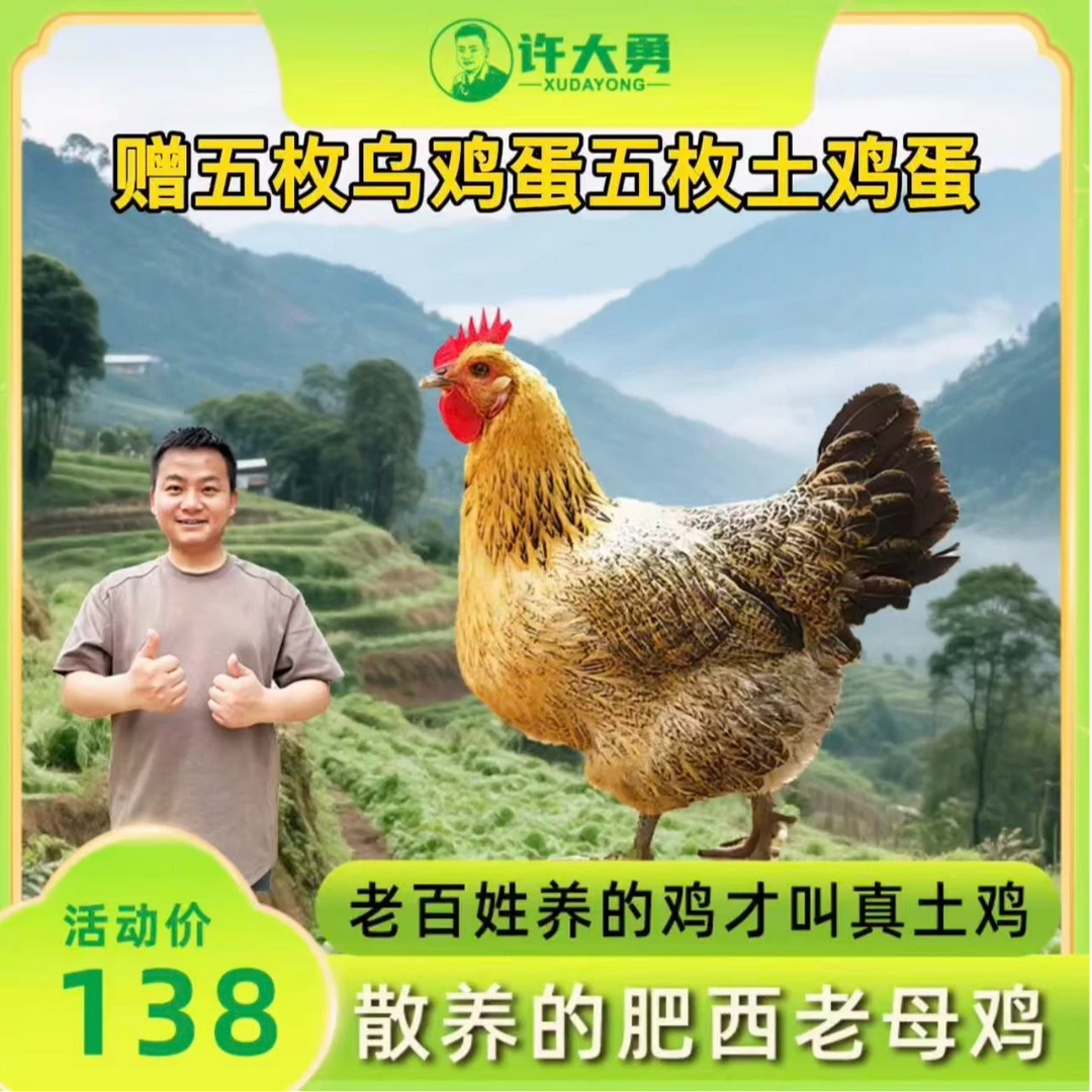 【许大勇】正宗肥西老母鸡 农家散养土鸡 顺丰冷链 单只装