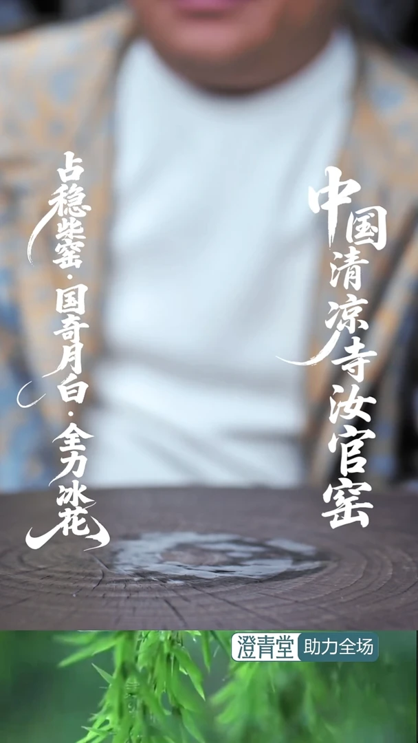 壶瓷野***员..........