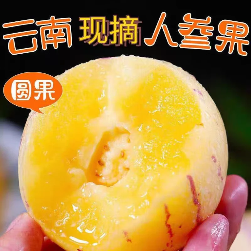 云南石林人参果当季水果人心果娃娃果黄肉人果七彩人生果特产YL