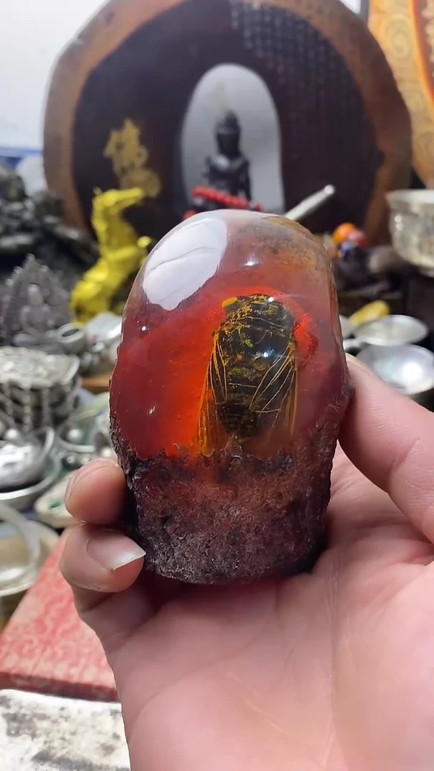 琥珀未镶嵌珠宝奇石-------主播推荐------