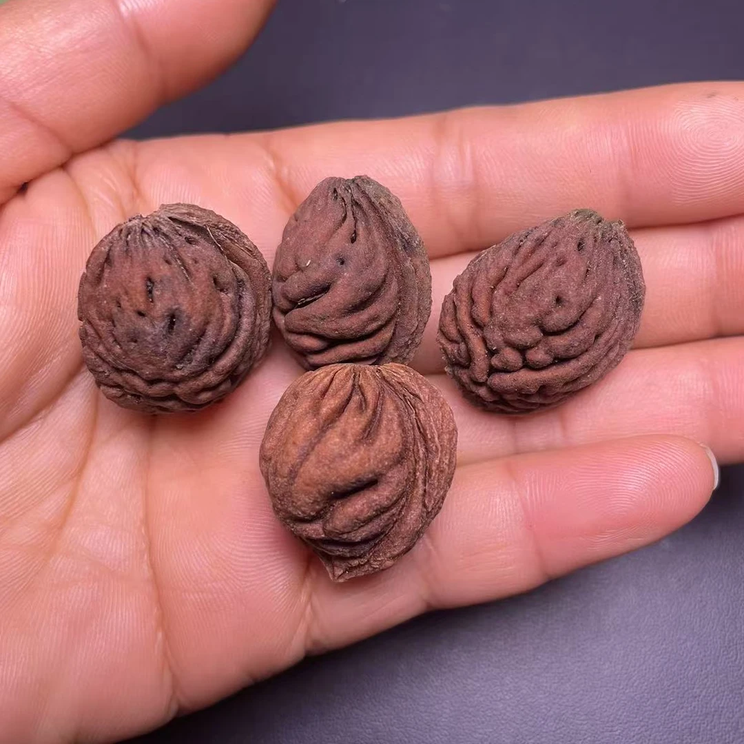 桃枭     秦岭龙纹桃枭已剥皮