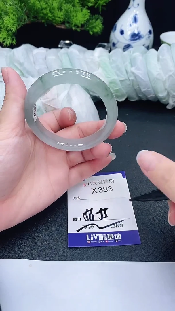 未镶嵌手镯翡翠383