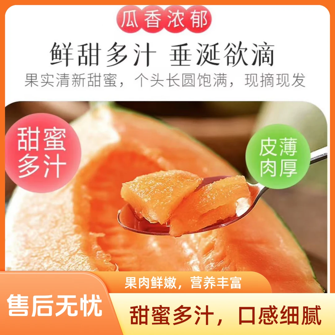 新疆哈密瓜口感脆甜多汁一个约3.5斤左右29.9元